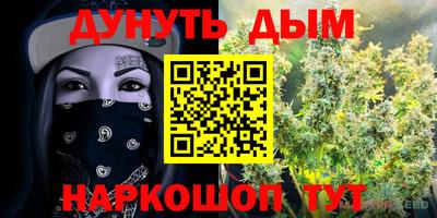 mdpv Беслан
