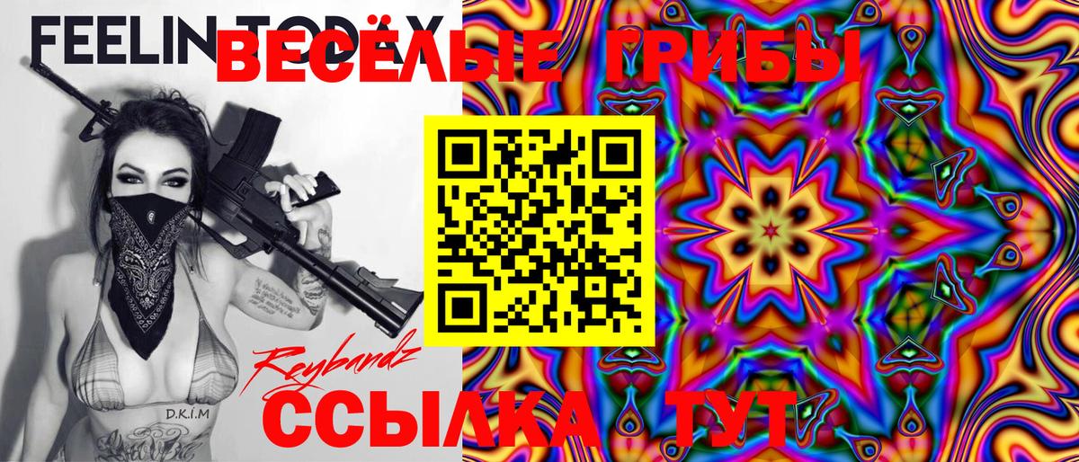 Псилоцибиновые грибы Psilocybe  Вход с VPN  Клинцы 